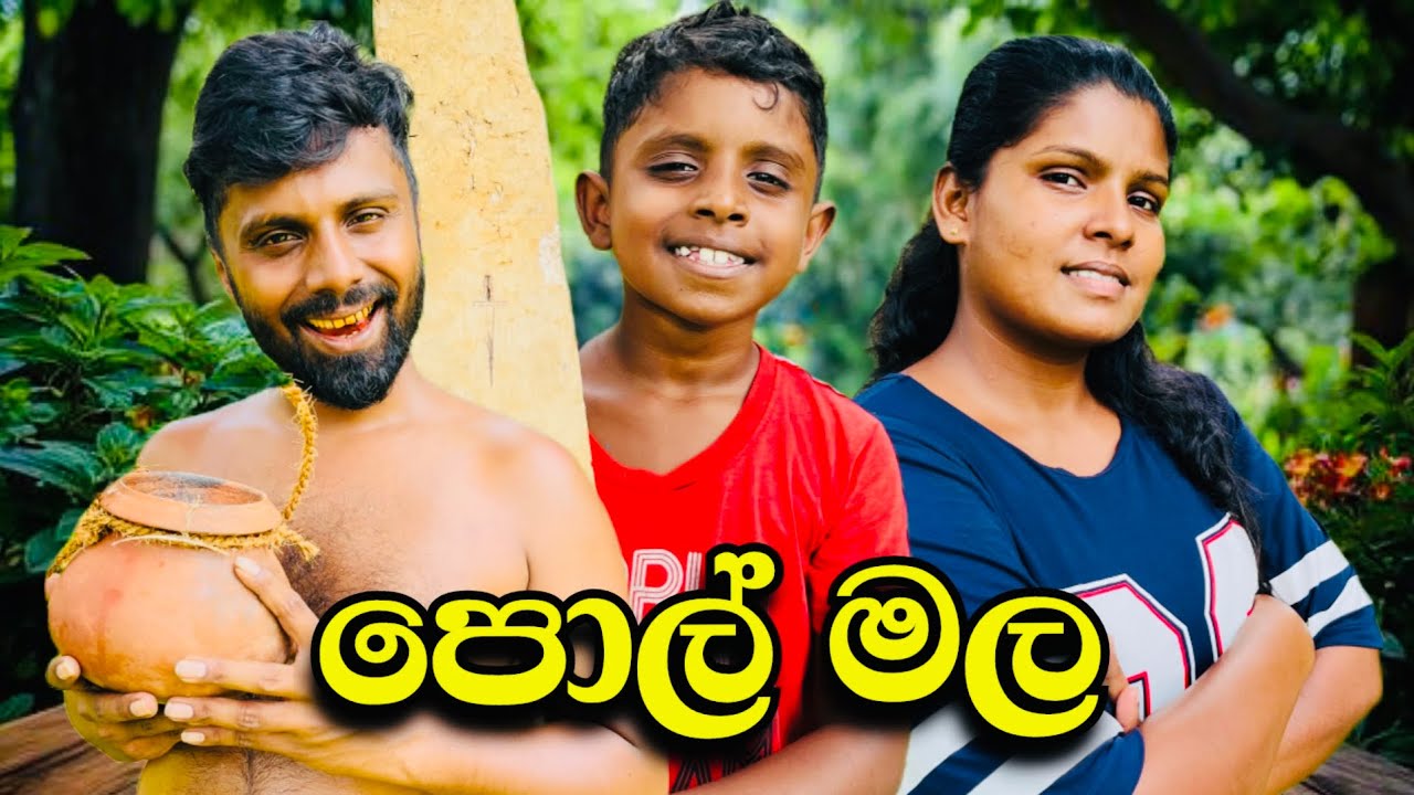පොල් මල | coconut flower | Sri Lanka Comedy.