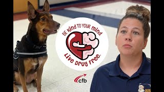 Interquest Detection Canines - Fall 2023