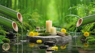 Relaxing Piano Music + Calming Water Sound 🌿 Deep Healing Music to Release Stress, Emotional Fat...