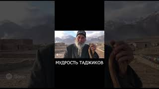Таджикская Мудрость и СИЛА! Нурулло Алиев #шортс