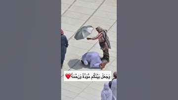وجعل بينكم مودة ورحمة ❤️/ تلاوه جميلة بصوت ماهر المعيقلي #حالات_واتس #فولو_اكسبلور #قرآن #سبحان_الله