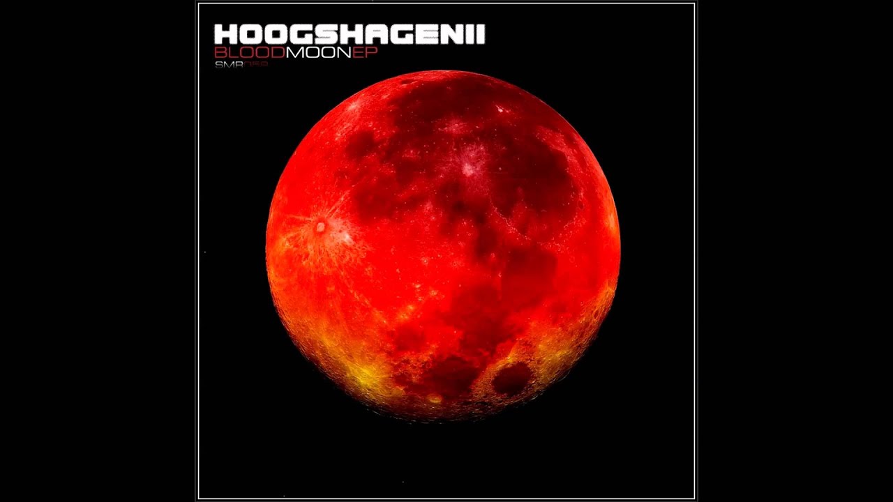 Hoogshagenii - No Drugs (Soundmute Recordings)