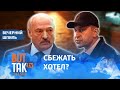 Лукашенко допросил Карпенкова / Вечерний шпиль