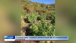Λάρισα Εξιχνιάστηκε υπόθεση ναρκωτικών με 812 δενδρύλλια κάνναβης 161026