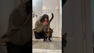 MY CAT CAME RUNNING WHEN HE HEARD ME CRYING ❤️😢 #shorts #viral