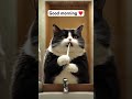 Cat brushing his teeth #cat #cutecat #aigenerated #nextgenai #viralshort #viral #shorts #shortsfeed