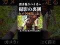 【名役者】熊鈴を鳴らしながら置き撮りハイカーのさりげない歩行 #尾瀬 #ハイキング
