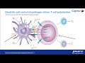 Self-Tissue Response: Key Insights for Clinical Success