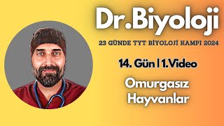 Omurgasız Hayvanlar 23 Günde Tyt Biyoloji Kampı Yks2024 9 Sınıf