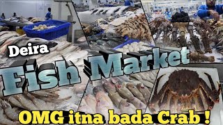 Biggest fish 🐟🦀🦞market in Dubai || Deira Fish Market ||Deira Water front || @mansita5771