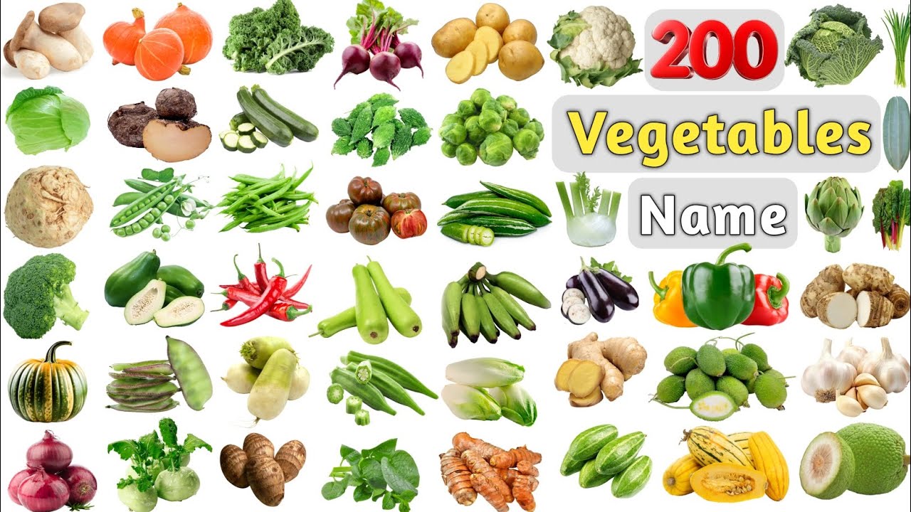 List of Vegetables ll 200 Vegetables Name In English With Pictures ll Learn all Vegetables Name