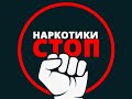 Профилактика наркомании