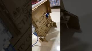 Automated Door With Arduino #technology #coding #coding #python #python #command #programers