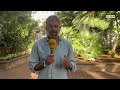 “Militares y Guardia Civil“ expulsan ilegalmente a un menor que llevaba en Ceuta dos años tutelado