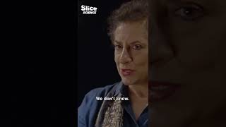 The Sphinx Of Giza Analyzed By Experts | SLICE SCIENCE