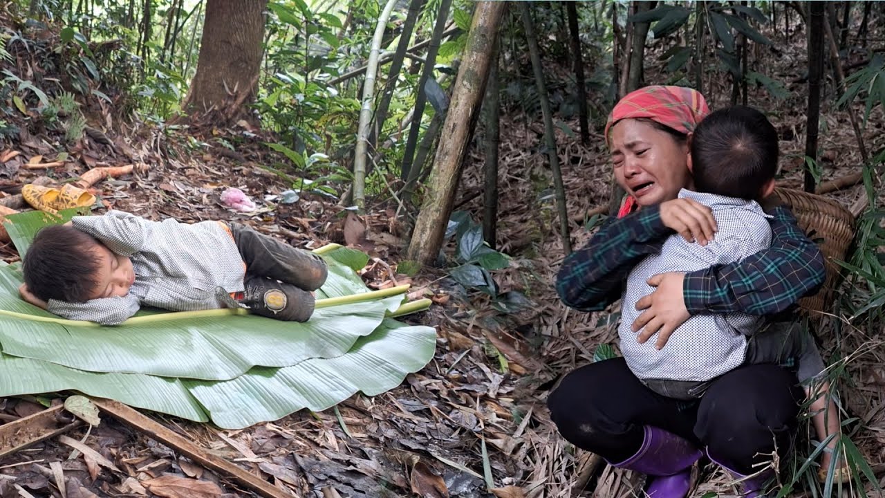 The mother and son went into the deep forest to get bamboo shoots and ...
