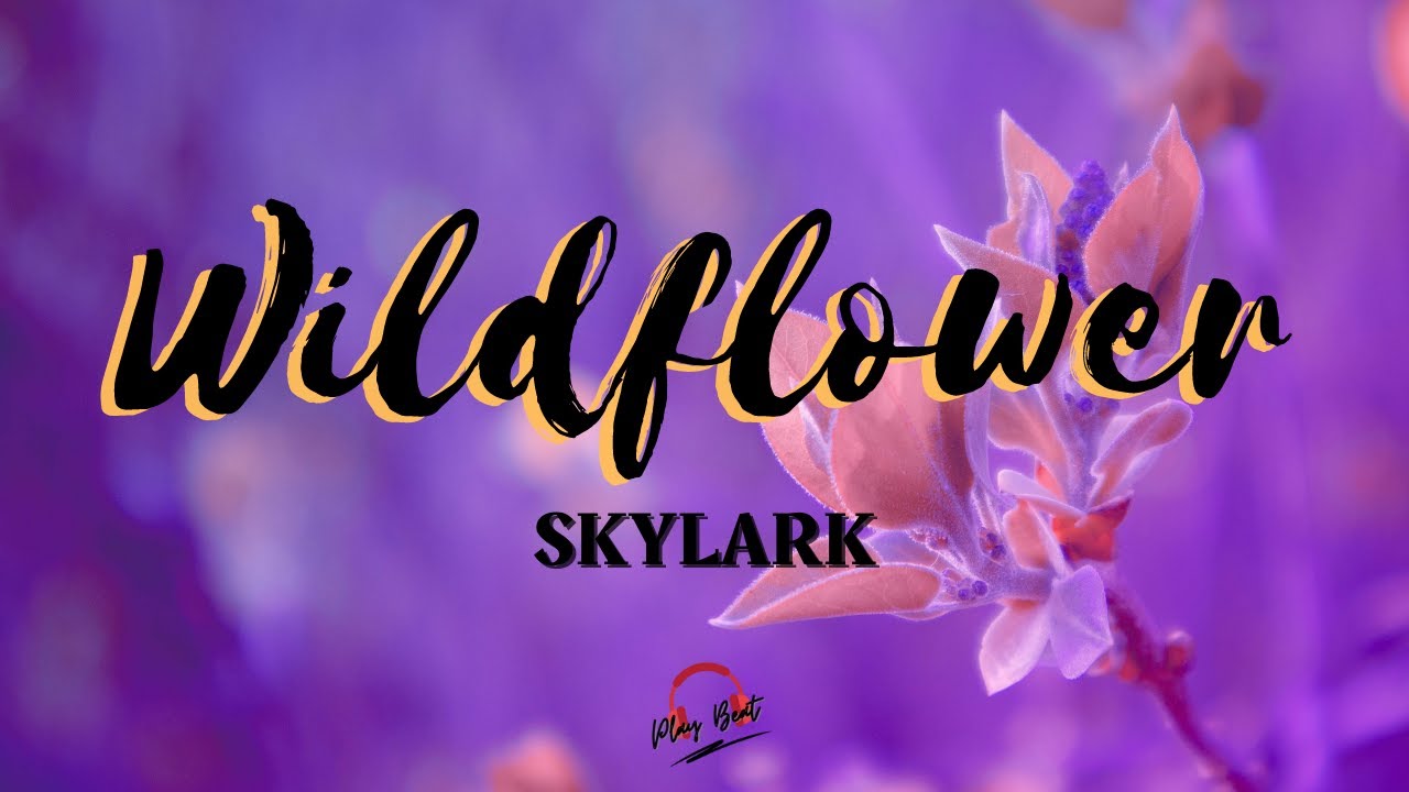 Wildflower Skylark (Lyrics Video) YouTube