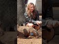 外国人観光客が奈良の鹿と楽しむ🦌😂