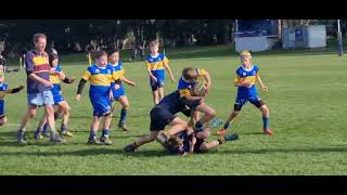 The Dunedin Wobbegong Sharks Last Game for 2025