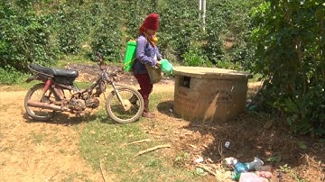 Khó khăn trong công tác thu gom và xử lý bao bì thuốc bảo vệ thực vật ở Sơn La