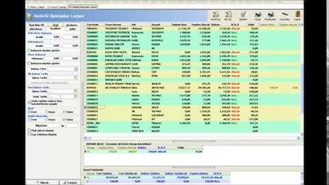 WOLVOX ERP Programı valörlü bakiyeler  listesi