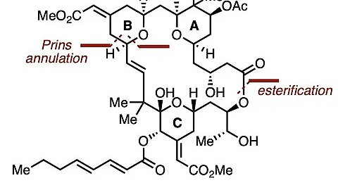 How the Wender Group Made Bryostatin 1, a Target B...