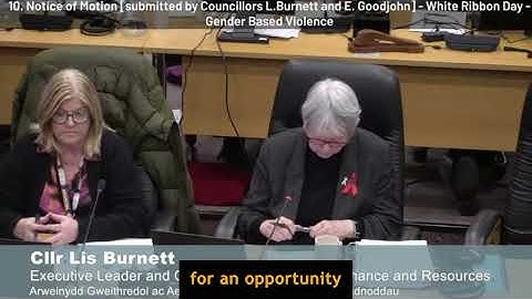 Councillors reject link between illegal migration and sex crimes