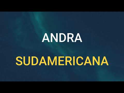 🎧 ANDRA - SUDAMERICANA (SLOWED \u0026 REVERB)