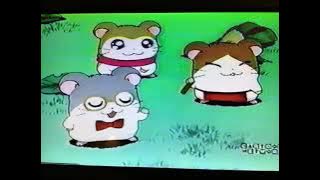 Hamtaro the ham ham club house premiere screen bug 2002