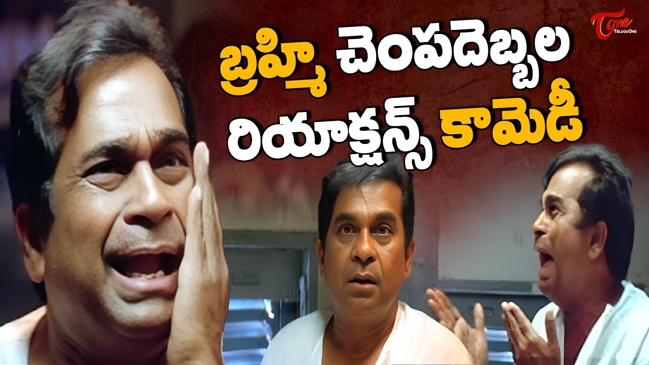 Brahmanandam & Ravi Teja Comedy Scenes | వెంకీ మూవీ ట్రైన్ కామెడీ | Telugu Comedy Movies | TeluguOne