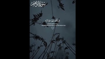 Surah Ibrahim By Abdul Rahman Mosad سورة إبراهيم - عبد الرحمن مسعد#عبدالرحمن_مسعد #quran
