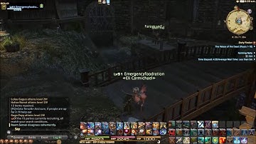 Final Fantasy XIV a Realm Reborn bots?