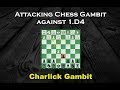 Attacking Chess Gambit against d4 (Charlick Gambit)