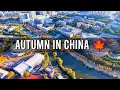 Cinematic Autumn In Dalian Maritime University Dreamy Campus Drone Shots In China