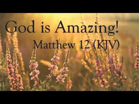 Matt 12 kjv Matt 12 kjv