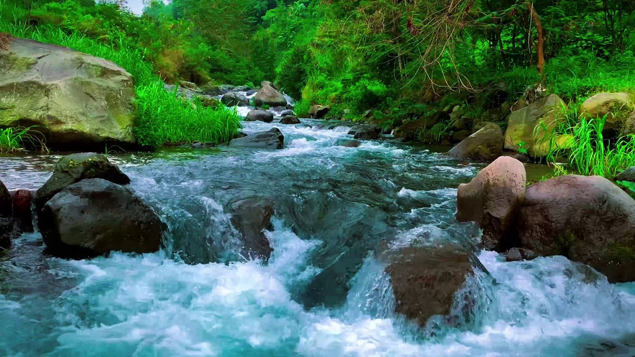 Forest Stream Flowing Sound, Relaxing Waterfall Sounds. Water White Noise for Sleep or Relax