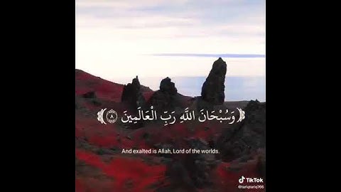حالات واتس اب دينيه (ماتيسر من سورة النمل 😍💛صوت خاشع