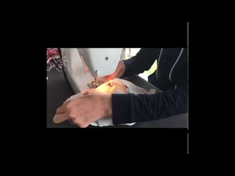 قناع الوجه من القماش لحماية من الفيروسات