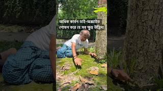 অধিক কার্বন ডাই-অক্সাইড শোষন করে নেয় যে ক্ষুদ্র উদ্ভিদ!