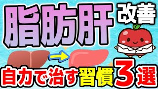 【脂肪肝の改善】知らないとヤバい脂肪肝を自力で治す習慣３選【アルコール性/非アルコール性】