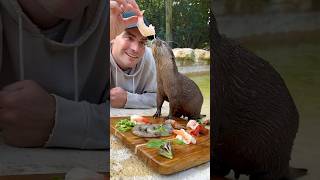 Otter Charcuterie Board! #Shorts #Animals  #Otter #Food