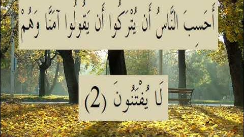 القران الكريم سورة العنكبوت الأية 2.wmv