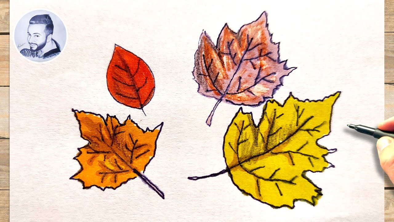 Comment dessiner des feuilles mortes - YouTube
