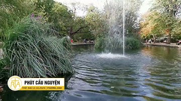 Phút Cầu Nguyện, Thứ Hai 12/10/2020: Khi Tình Yêu Vắng Bóng