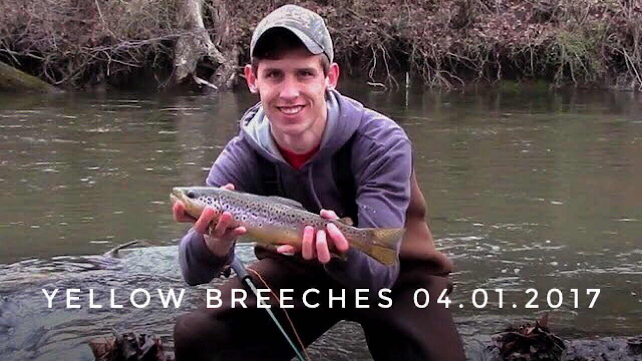 PA Trout OPENER!! Yellow Breeches Trout Fishing 2017 YouTube
