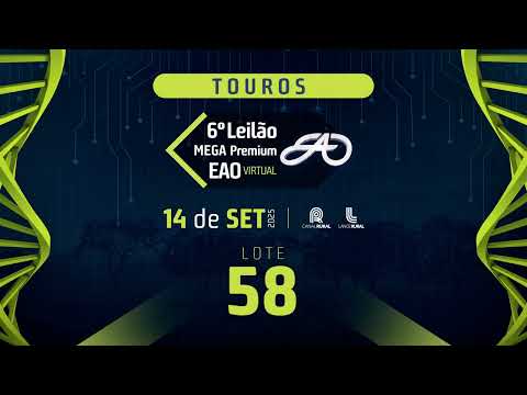 LOTE 58
