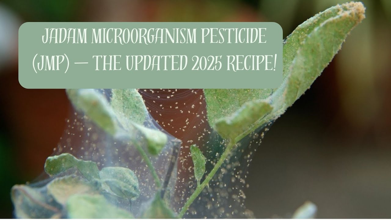 DON’T SPRAY TOXINS — DO THIS