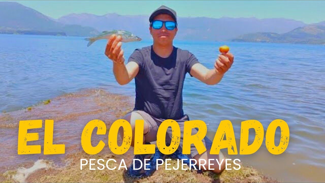 PESCA DE PEJERREYES CON MASA / EL COLORADO🇨🇱