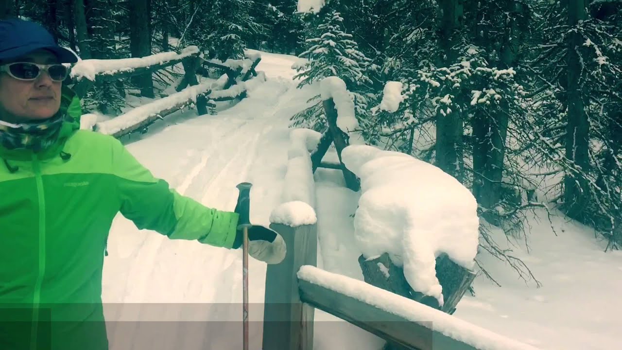 B&B Trail Breckenridge Cross Country Skiing YouTube
