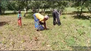 Titao : Difficile accès à la terre cultivable par des déplacés internes !